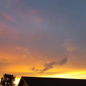 Meet your Posher, Lilly